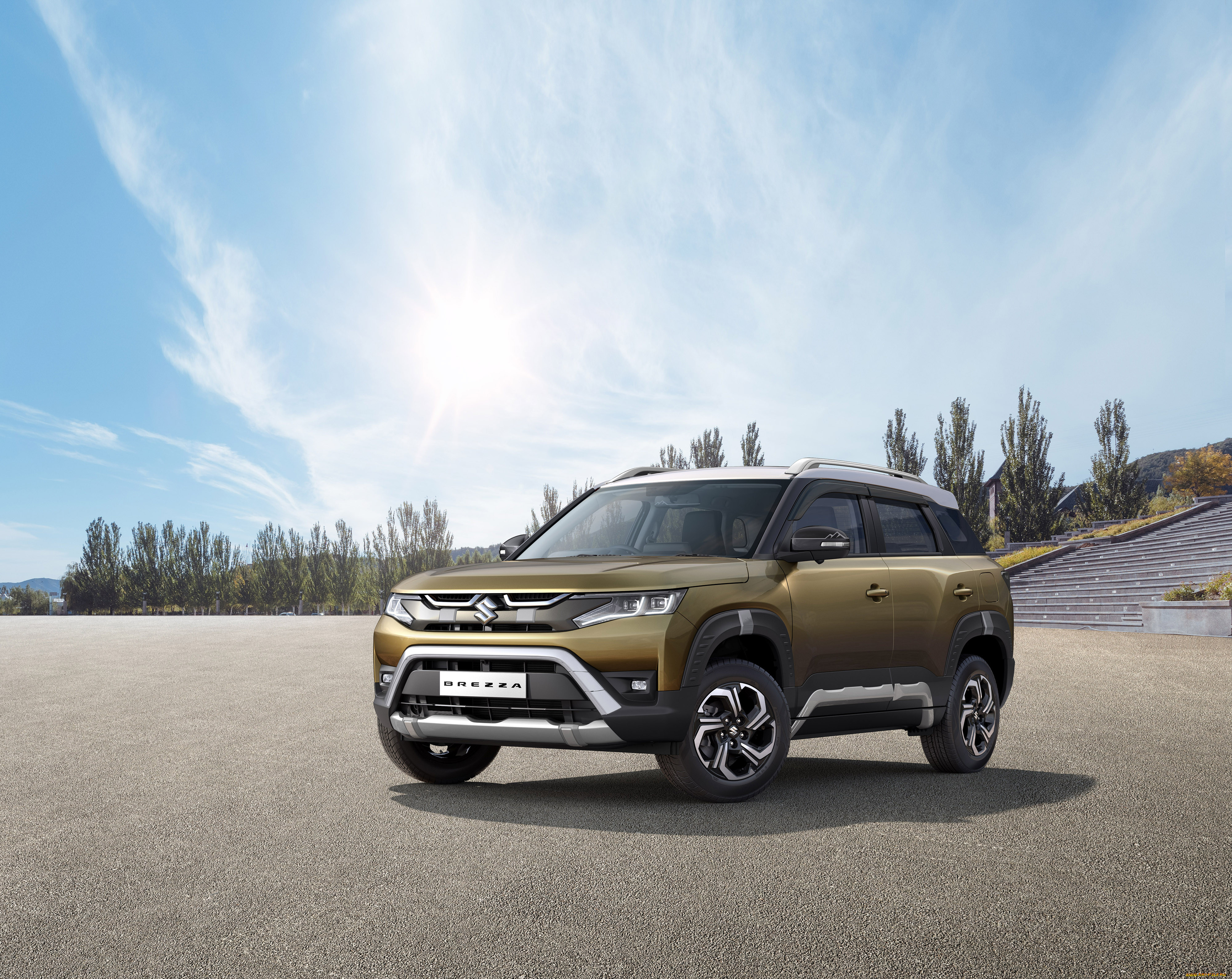 , suzuki